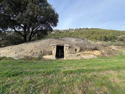 Image description