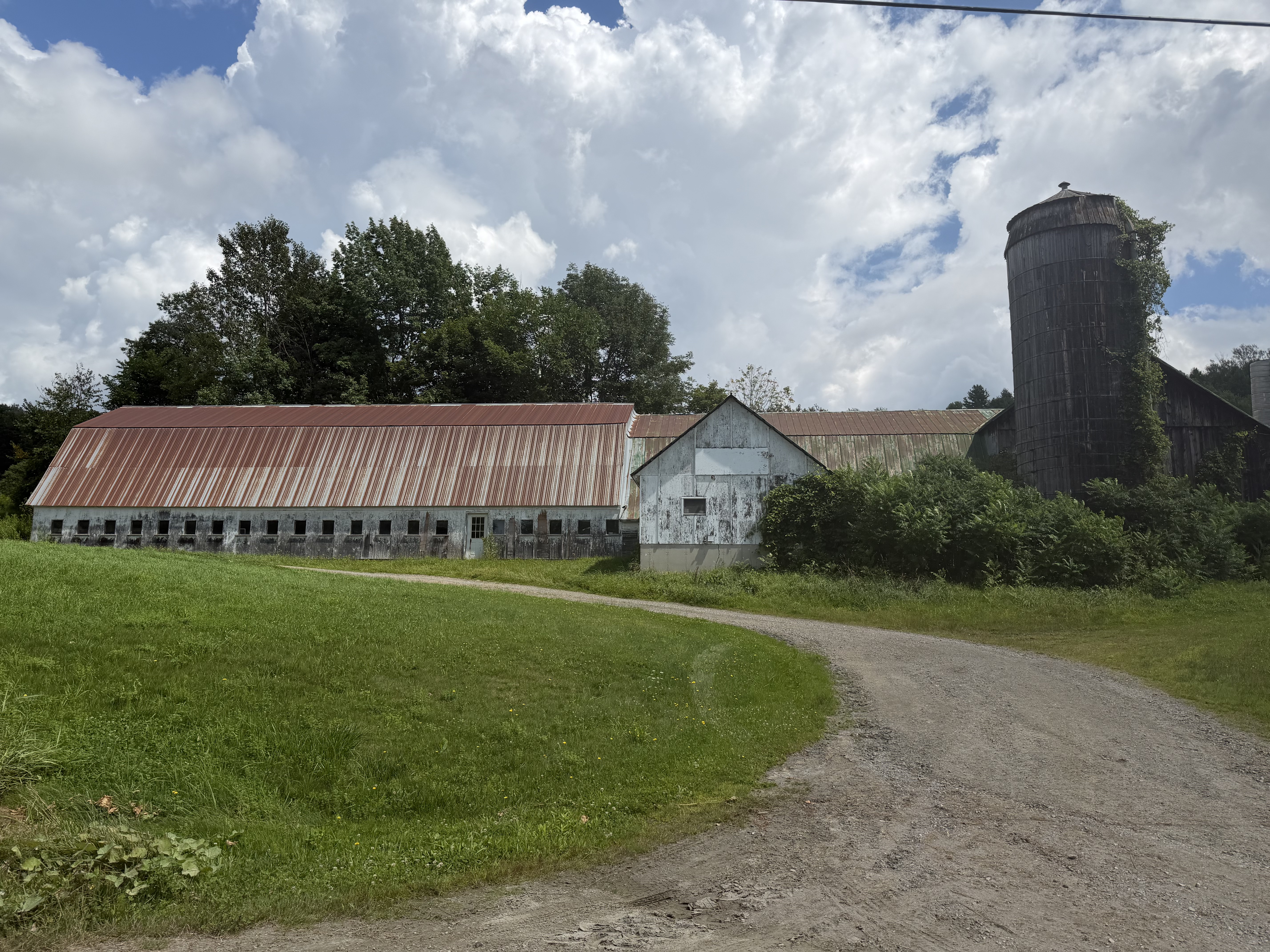 Image description